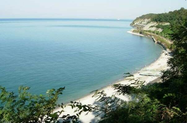 Изображение Изображение гостиницы &quot;Гостевой дом «VineHouse»&quot; #4 #4