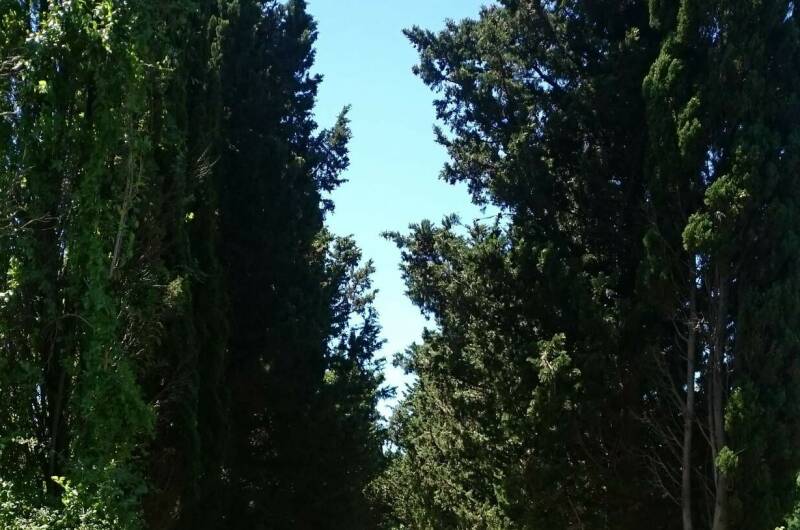 Изображение Изображение гостиницы &quot;Гостевой дом «VineHouse»&quot; #6 #6