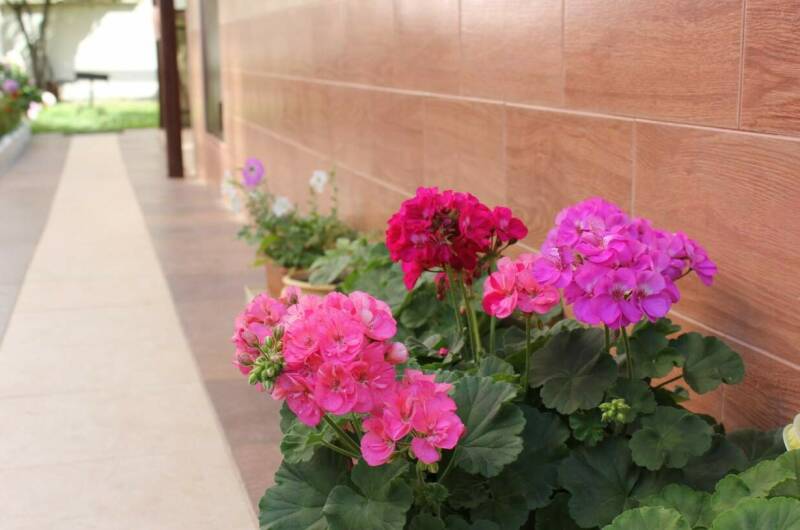 Изображение Изображение гостиницы &quot;Частный дом на Нахимова&quot; #4 #4