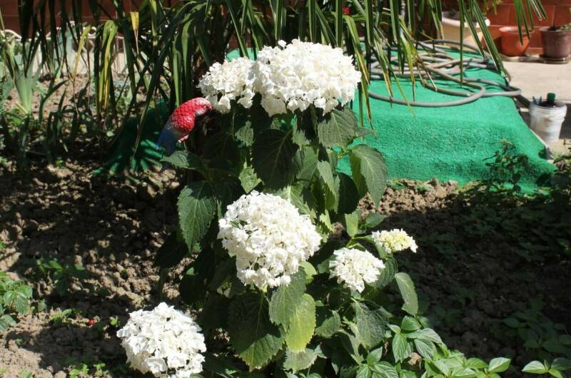 Изображение Изображение отеля / гостиницы "Частный дом на Нахимова" #11 #9