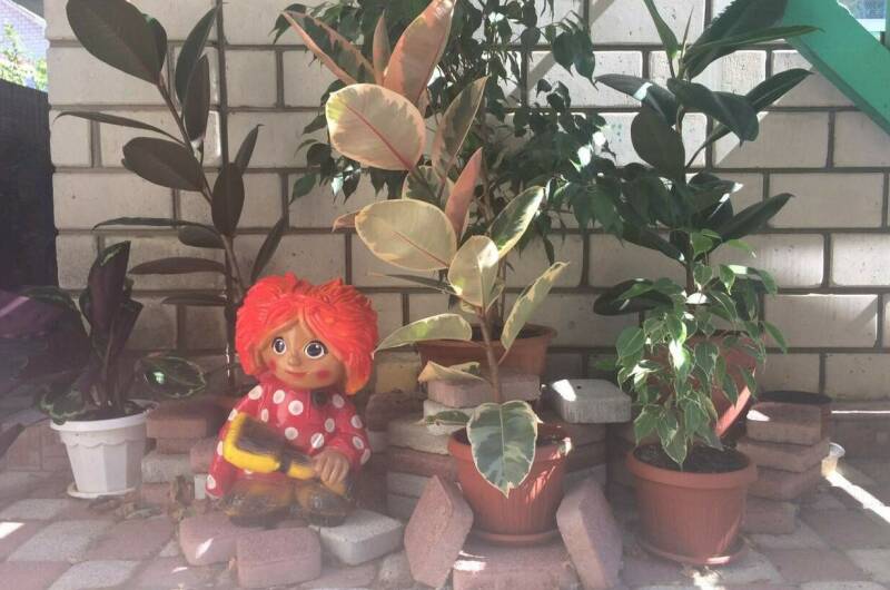 Изображение Изображение гостиницы "Гостевой дом «Натали»" #5 #5