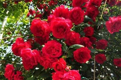 Изображение Изображение гостиницы "Частный сектор «В гостях у Валентины»" #2 #2