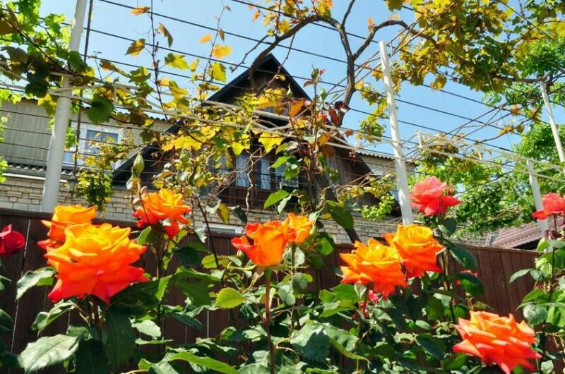 Изображение Изображение гостиницы "Частный сектор «В гостях у Валентины»" #4 #4