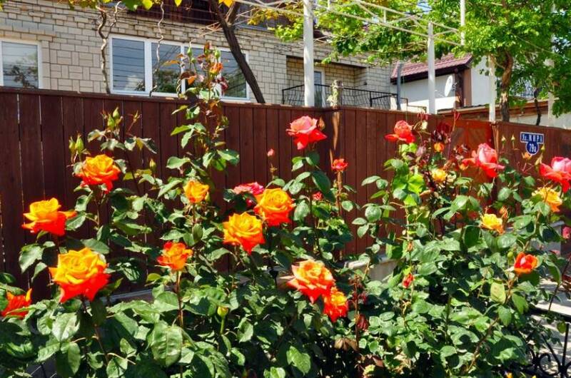 Изображение Изображение гостиницы "Частный сектор «В гостях у Валентины»" #6 #6