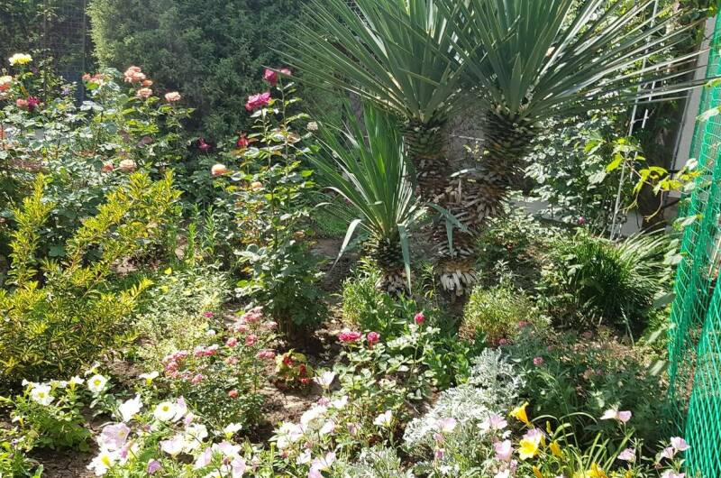 Изображение Изображение гостиницы "Частный сектор «В гостях у Валентины»" #8 #8