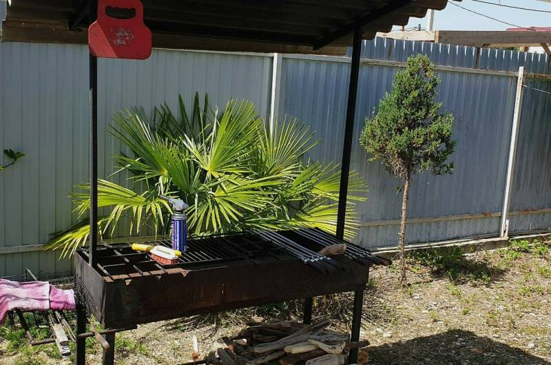 Изображение Изображение гостиницы &quot;Гостевой дом «Атлантида»&quot; #2 #2