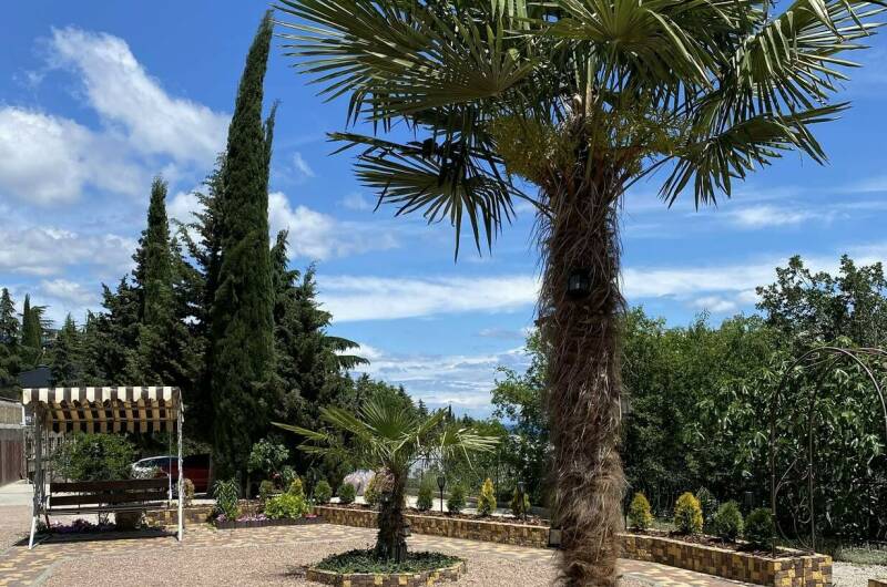 Изображение Изображение гостиницы &quot;Вилла «Мечта»&quot; #8 #8