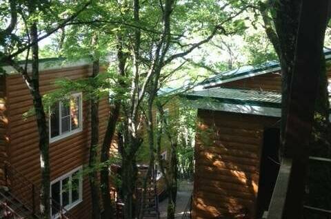 Изображение Изображение гостиницы "База отдыха" #4 #4