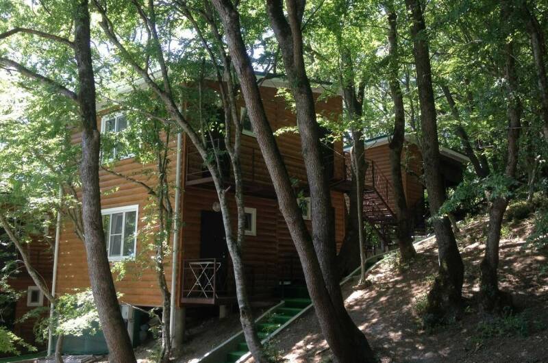 Изображение Изображение гостиницы "База отдыха" #5 #5