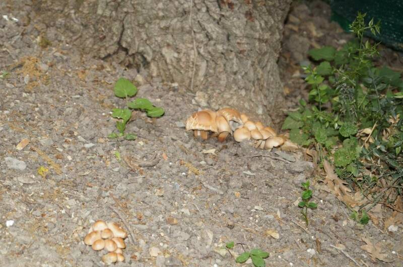 Изображение Изображение отеля / гостиницы "База отдыха" #10 #8