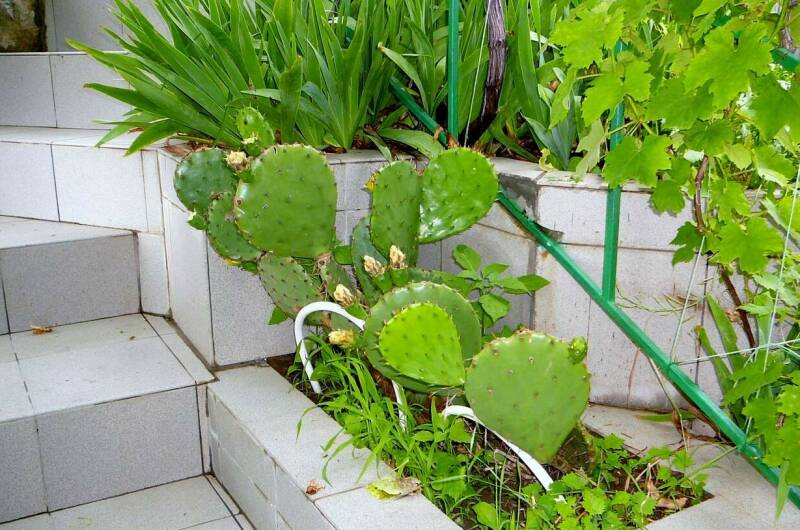 Изображение Изображение эллинга "Эллинг «Юрий»" #11 #9