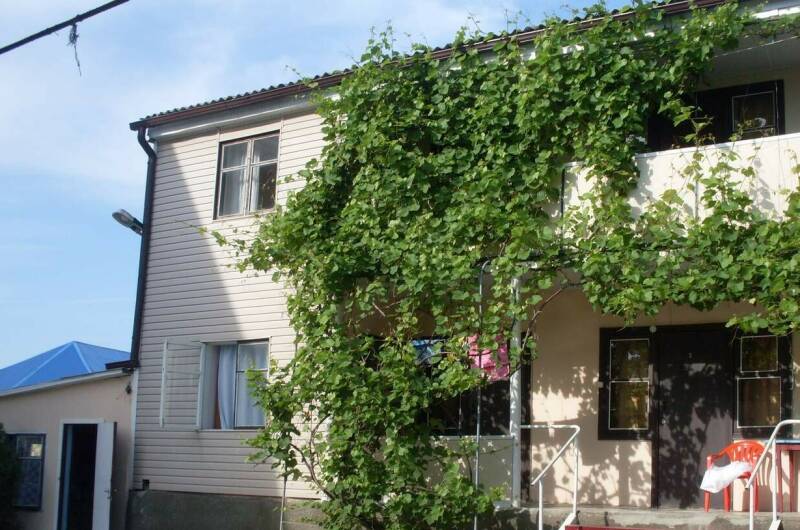 Изображение Изображение отеля / гостиницы "Гостевой дом «Версаль»" #10 #8