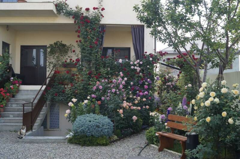 Изображение Изображение гостиницы "Частный дом «Жемчужина»" #1 #1