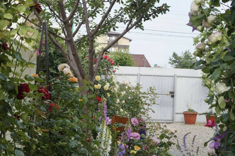 Изображение Изображение гостиницы "Частный дом «Жемчужина»" #5 #5