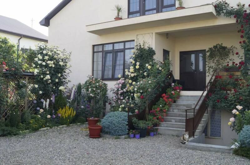 Изображение Изображение гостиницы "Частный дом «Жемчужина»" #6 #6