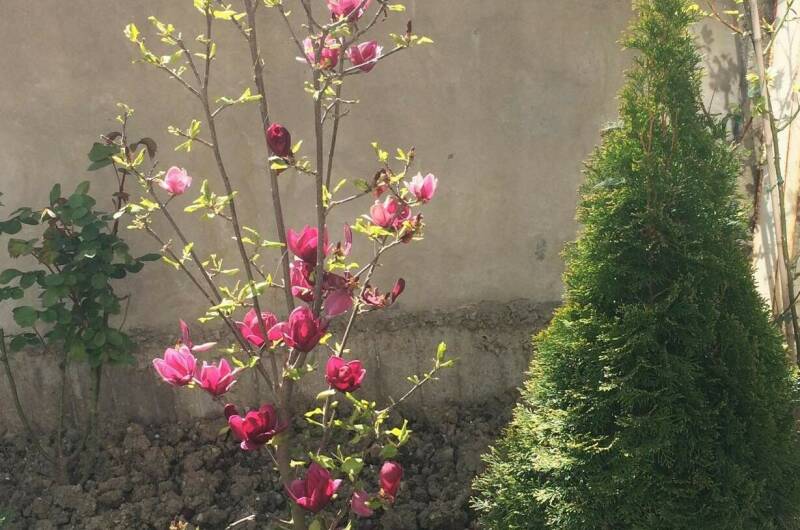 Изображение Изображение гостиницы "Гостевой дом «У Орыси»" #2 #2