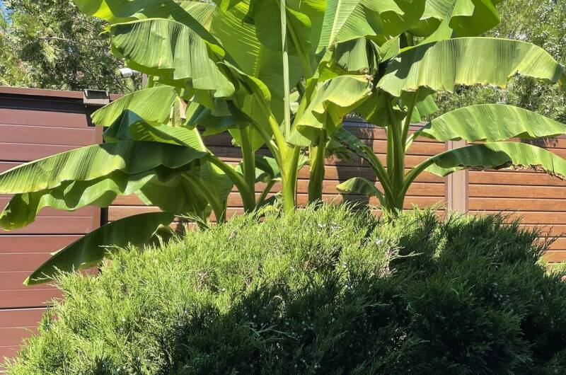 Изображение Изображение гостиницы "Гостевой дом «Фем Ландия» (Guest House Fem Landia)" #2 #2