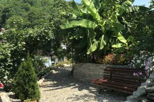 Изображение Гостевой дом «Оазис» #6