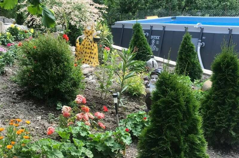 Изображение Изображение гостиницы &quot;Гостевой дом «Оазис»&quot; #2 #2