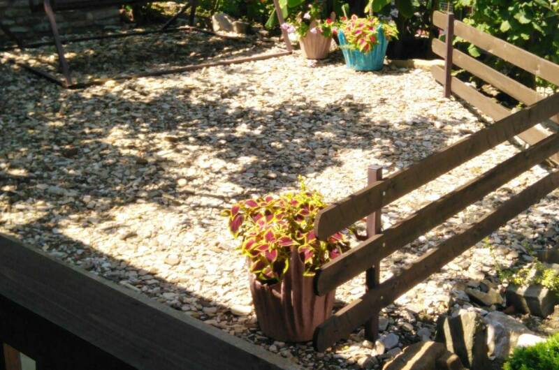 Изображение Изображение гостиницы &quot;Гостевой дом «Оазис»&quot; #7 #7