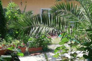 Изображение гостиницы "Гостевой дом «Две пальмы»"