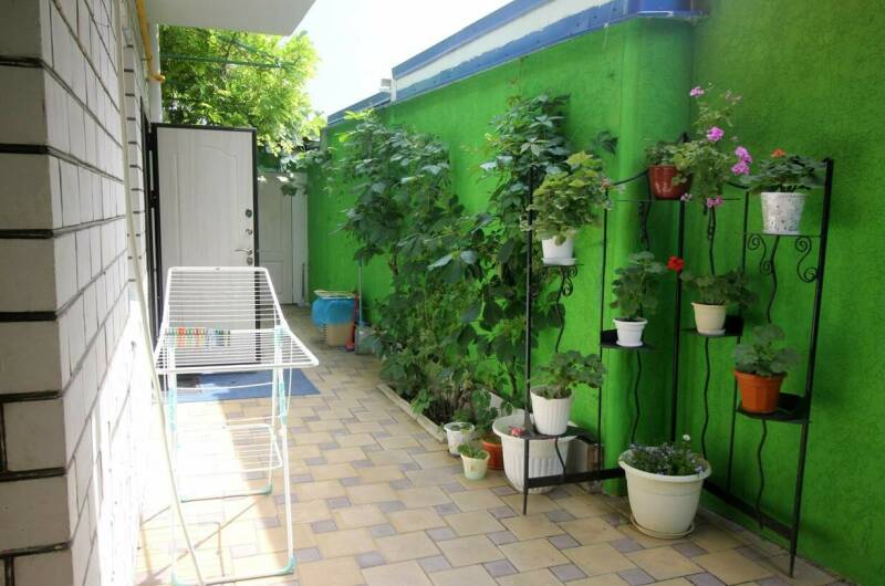 Изображение Изображение гостиницы &quot;Гостевой дом «Анапа»&quot; #2 #2