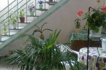 Изображение Изображение гостиницы &quot;Гостевой дом «Анапа»&quot; #7 #7