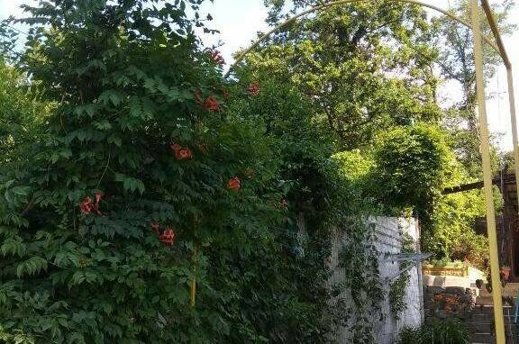 Изображение Изображение гостиницы "Гостевой дом «Элефант»" #2 #2