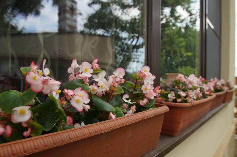 Изображение Изображение гостиницы &quot;Гостевой дом «У Лукоморья»&quot; #2 #2