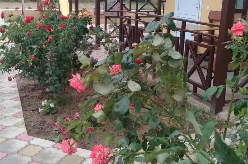 Изображение Изображение гостиницы "Гостиница «Добрый Бобр»" #2 #2