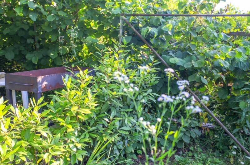 Изображение Изображение гостиницы &quot;Гостевой дом «Светлана»&quot; #4 #4