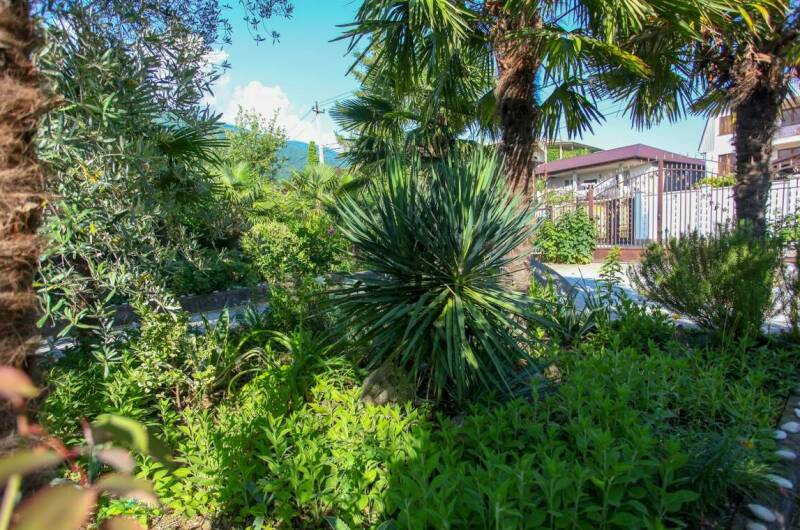 Изображение Изображение гостиницы &quot;Гостевой дом «Светлана»&quot; #5 #5