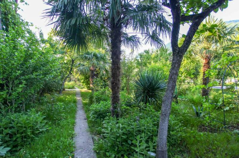 Изображение Изображение гостиницы &quot;Гостевой дом «Светлана»&quot; #6 #6