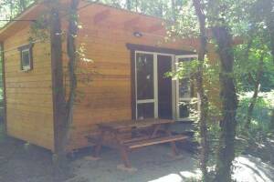 Изображение Экодом в лесу для двоих #4