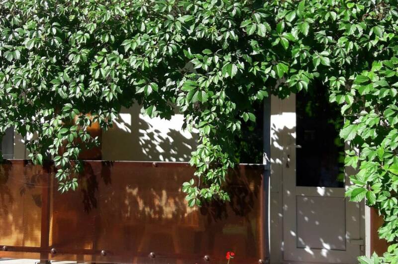 Изображение Изображение отеля / гостиницы "Гостевой дом «У Александры»" #11 #9