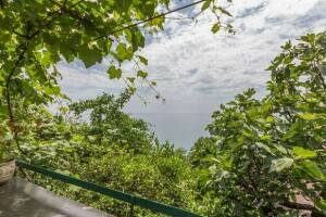 Изображение Гостевой дом «Рай у моря» #3