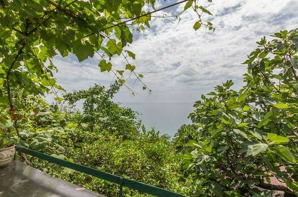 Изображение Изображение гостиницы &quot;Гостевой дом «Рай у моря»&quot; #1 #1