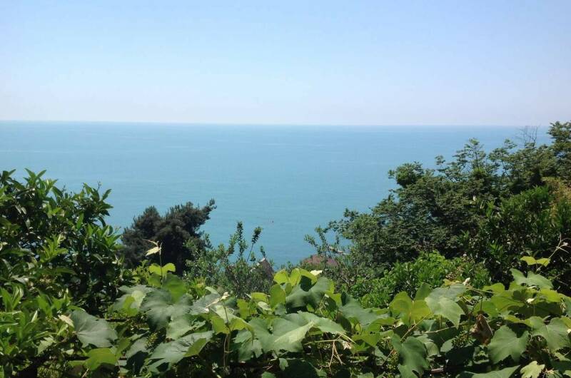 Изображение Изображение гостиницы &quot;Гостевой дом «Рай у моря»&quot; #3 #3