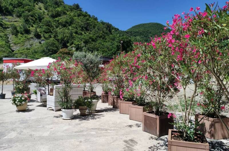 Изображение Изображение гостиницы &quot;Гостевой дом «Уда-ча»&quot; #4 #4