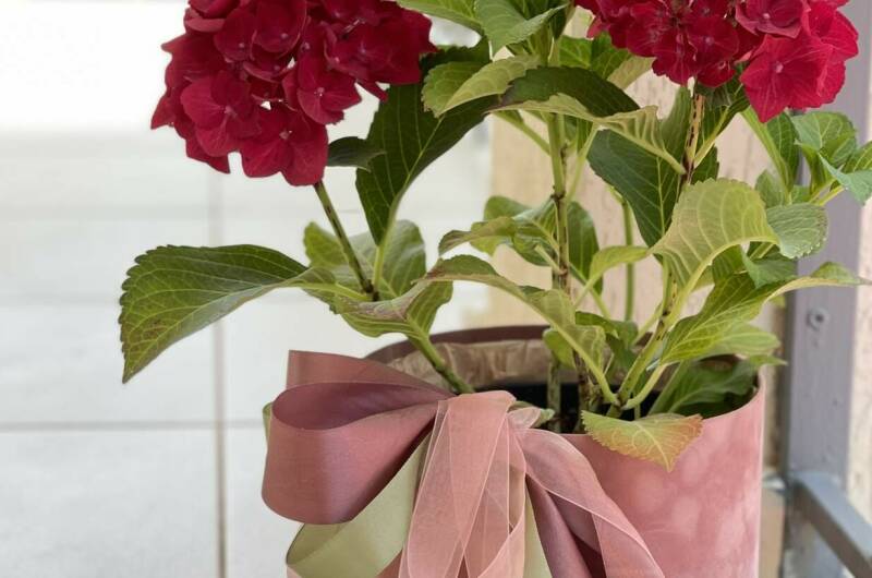 Изображение Изображение отеля / гостиницы "Частный дом «Селена»" #10 #8