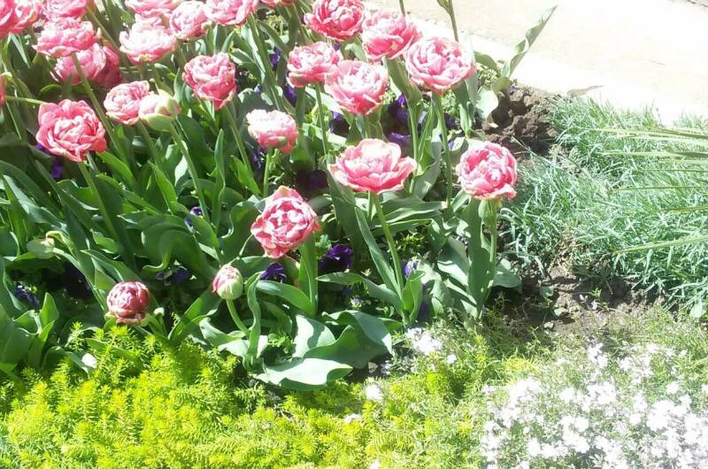 Изображение Изображение квартиры &quot;Комната в частном доме «Надежда»&quot; #4 #4