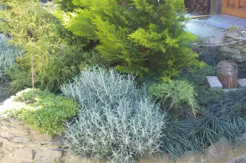 Изображение Изображение квартиры &quot;Комната в частном доме «Надежда»&quot; #6 #6