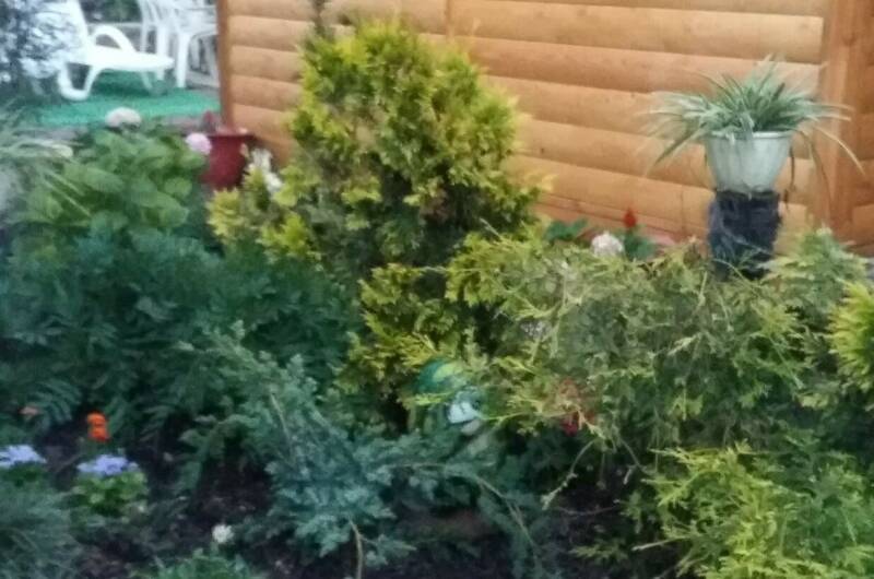 Изображение Изображение квартиры / апартамента "Комната в частном доме «Надежда»" #11 #9