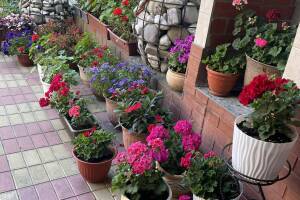 Изображение Гостевой дом на Тихорецкой #2