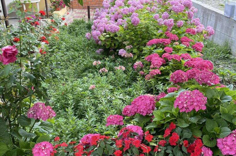 Изображение Изображение гостиницы &quot;Гостевой дом на Тихорецкой&quot; #2 #2