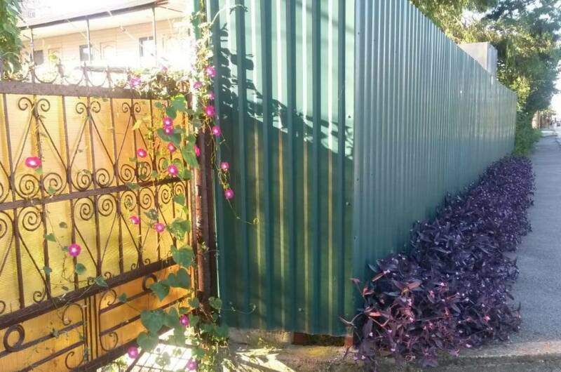 Изображение Изображение отеля / гостиницы "Гостевой дом «Танида»" #11 #9