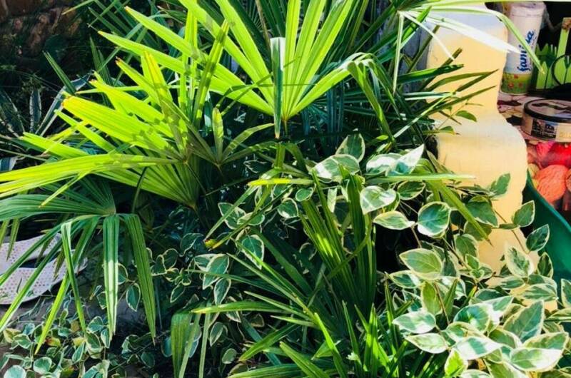 Изображение Изображение отеля / гостиницы "Частный дом «Лето 15»" #11 #9