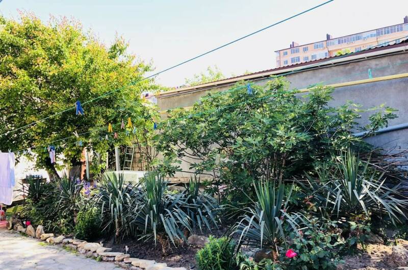 Изображение Изображение гостиницы "Гостевой дом «Венера»" #4 #4