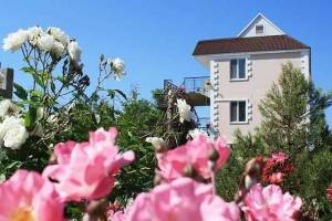 Изображение Усадьба «Лукоморье» #2