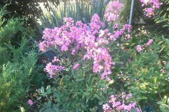 Изображение Изображение гостиницы &quot;Усадьба «Лукоморье»&quot; #3 #3